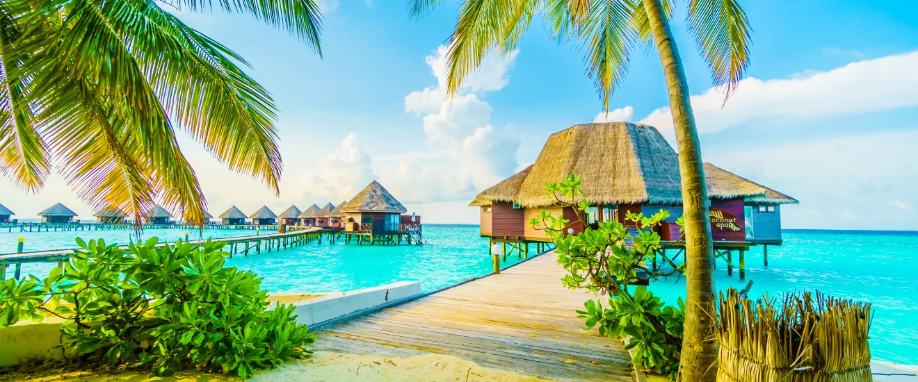 Dream. Explore. Discover. Where Will You Go Next?